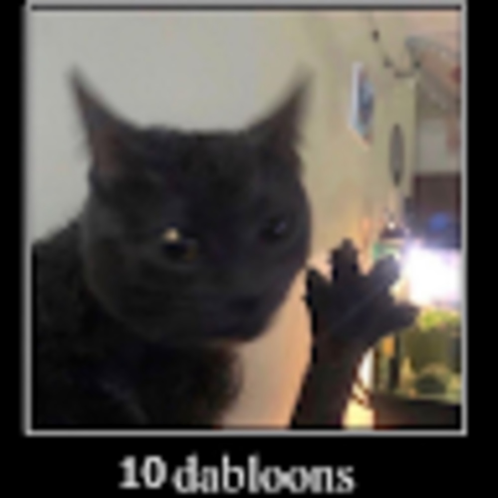 Meet your Posher, Flint